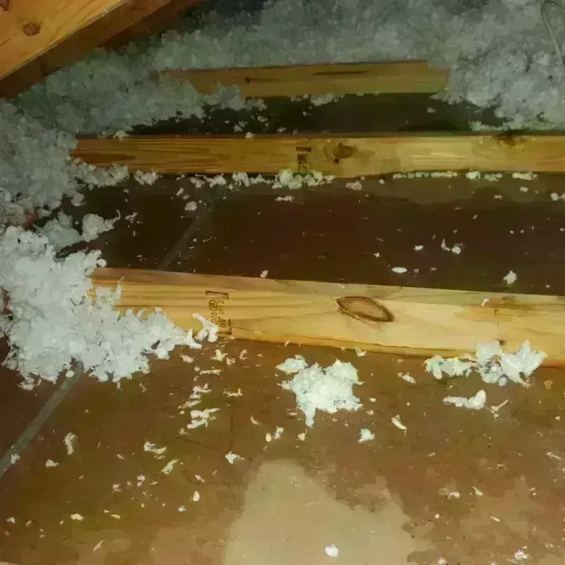 Attic Water Damage in Erie, KS