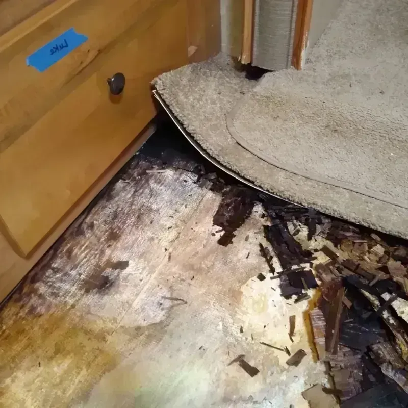 Wood Floor Water Damage in Erie, KS